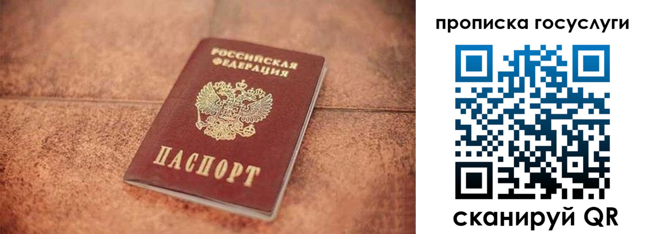 прописка законно в Николаевске-на-Амуре